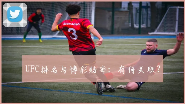 UFC排名与博彩赔率：有何关联？
