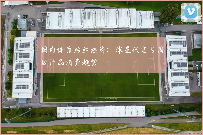 国内体育粉丝经济:球星代言与周边产品消费趋势