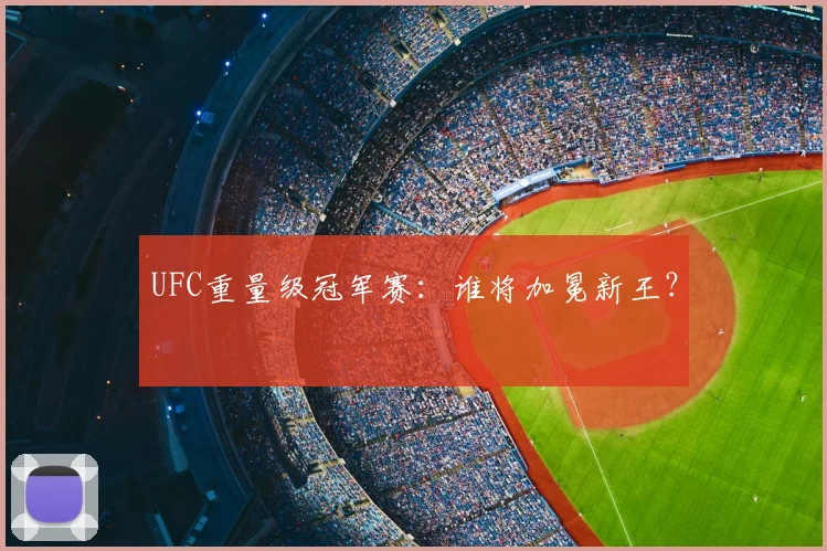 UFC重量级冠军赛:谁将加冕新王?