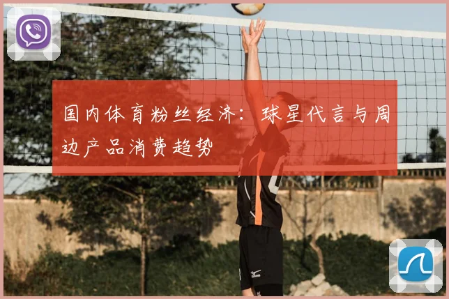 国内体育粉丝经济:球星代言与周边产品消费趋势