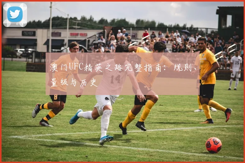 澳门UFC精英之路完整指南:规则、量级与历史