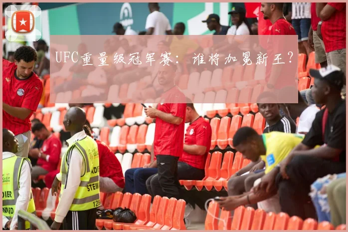 UFC重量级冠军赛：谁将加冕新王？