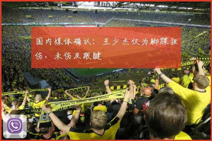国内媒体确认:王少杰仅为脚踝扭伤,未伤及跟腱