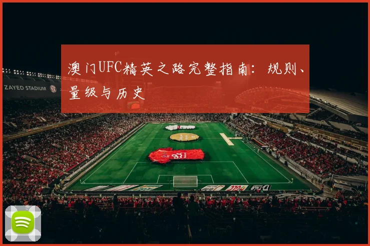 澳门UFC精英之路完整指南：规则、量级与历史
