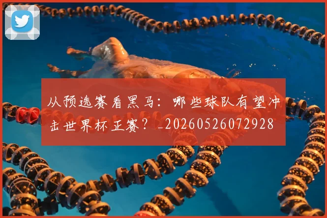 从预选赛看黑马:哪些球队有望冲击世界杯正赛?_20260526072928