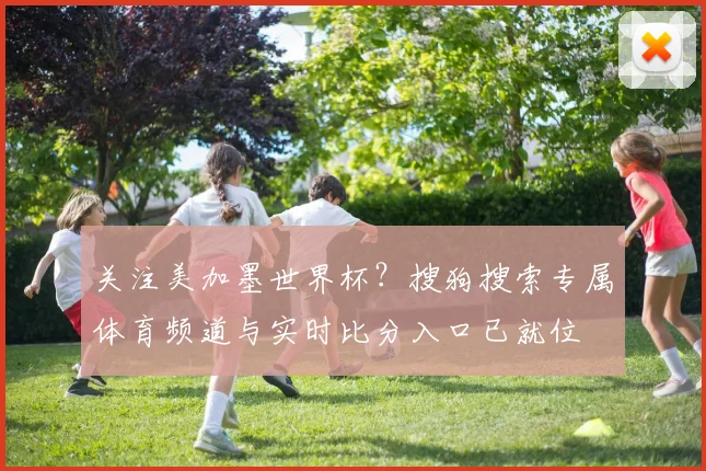关注美加墨世界杯?搜狗搜索专属体育频道与实时比分入口已就位