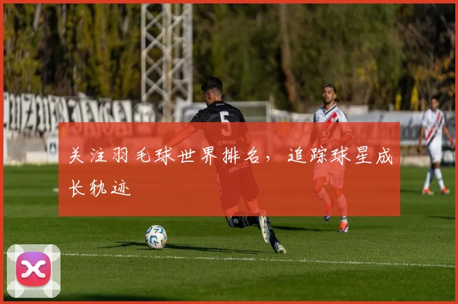 关注羽毛球世界排名,追踪球星成长轨迹