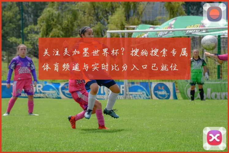关注美加墨世界杯？搜狗搜索专属体育频道与实时比分入口已就位