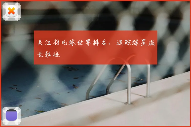 关注羽毛球世界排名,追踪球星成长轨迹